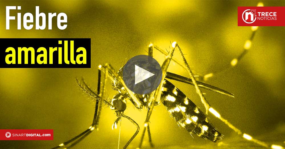 Salud actualiza requisitos de vacunación contra fiebre amarilla para viajeros