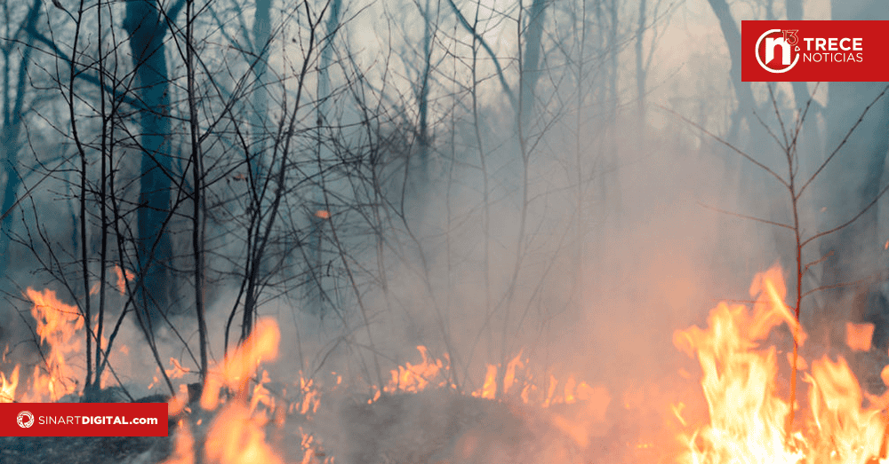 Bomberos alerta por llegada de época seca y posibles incendios forestales