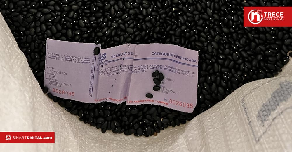 CNP pone a disposición semilla certificada de maíz y frijol en la región Brunca