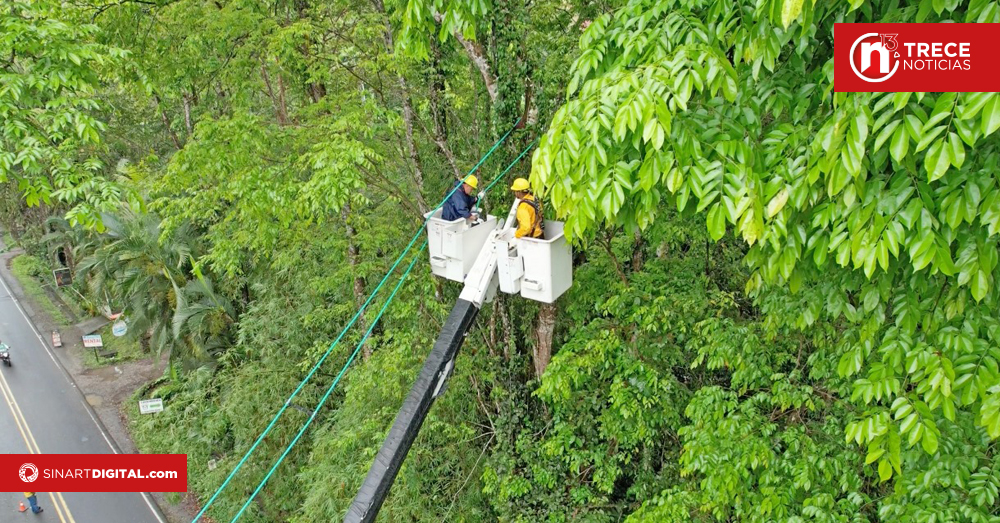 ICE destinó casi ₡2.000 millones para proteger fauna en tendidos eléctricos entre 2021 y 2025