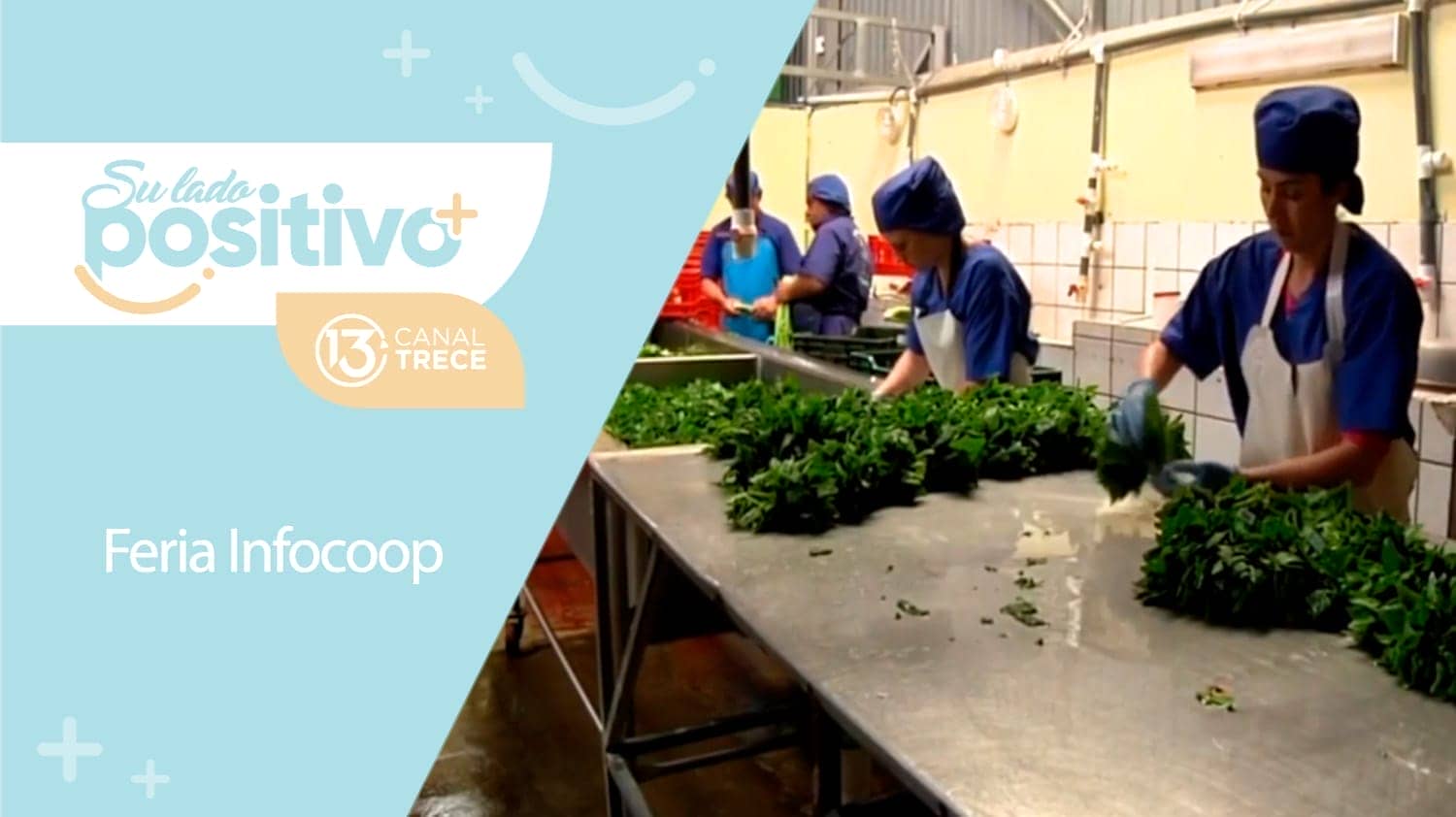 Feria Infocoop | 26 setiembre 2023