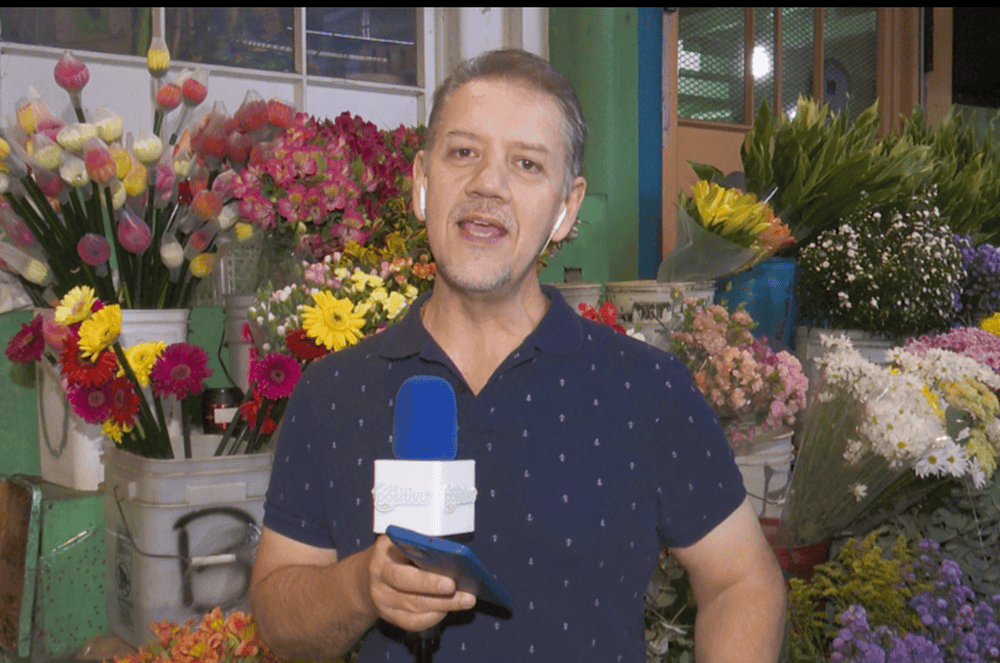 Las mejores flores para el cementerio