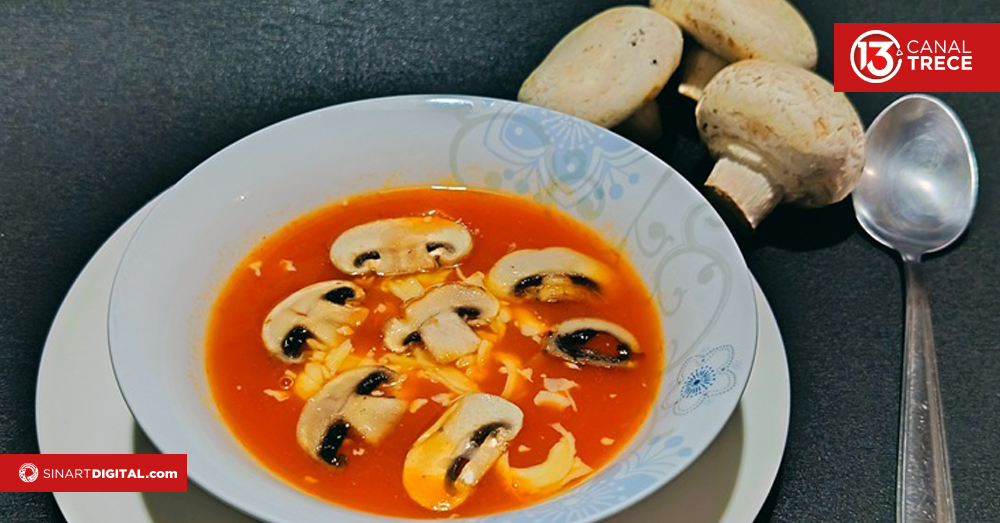 ¿Cómo se cultivan los hongos en Costa Rica?