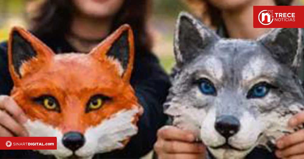 Colegio de Veterinarios aclara que identidades “Therian” no justifican atención médico-veterinaria