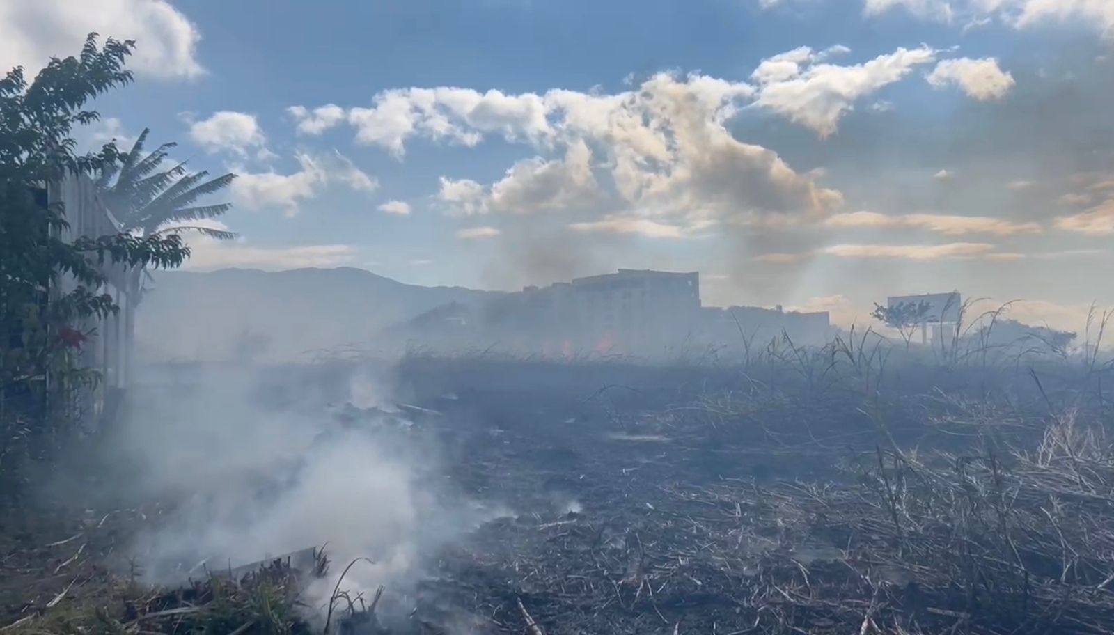 Bomberos ha atendido 13 incendios forestales en 2024