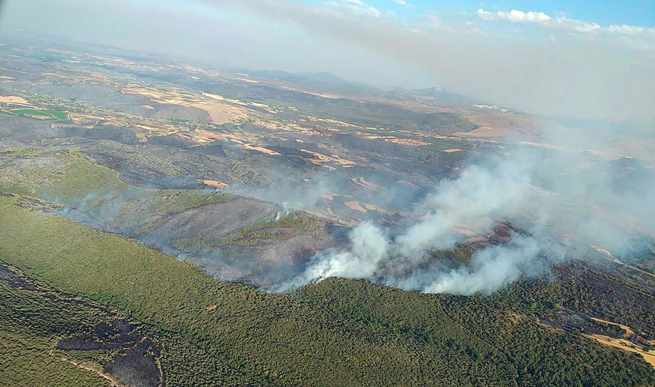 2023, un año devastador por los incendios forestales