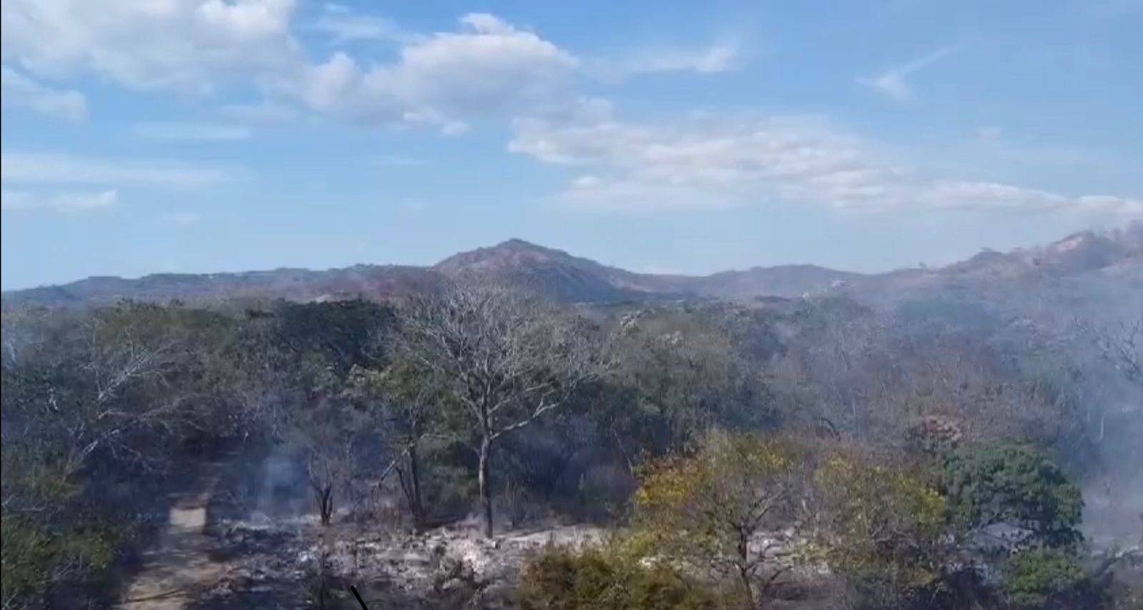 Incendios forestales no dan tregua: Guanacaste es la zona más afectada