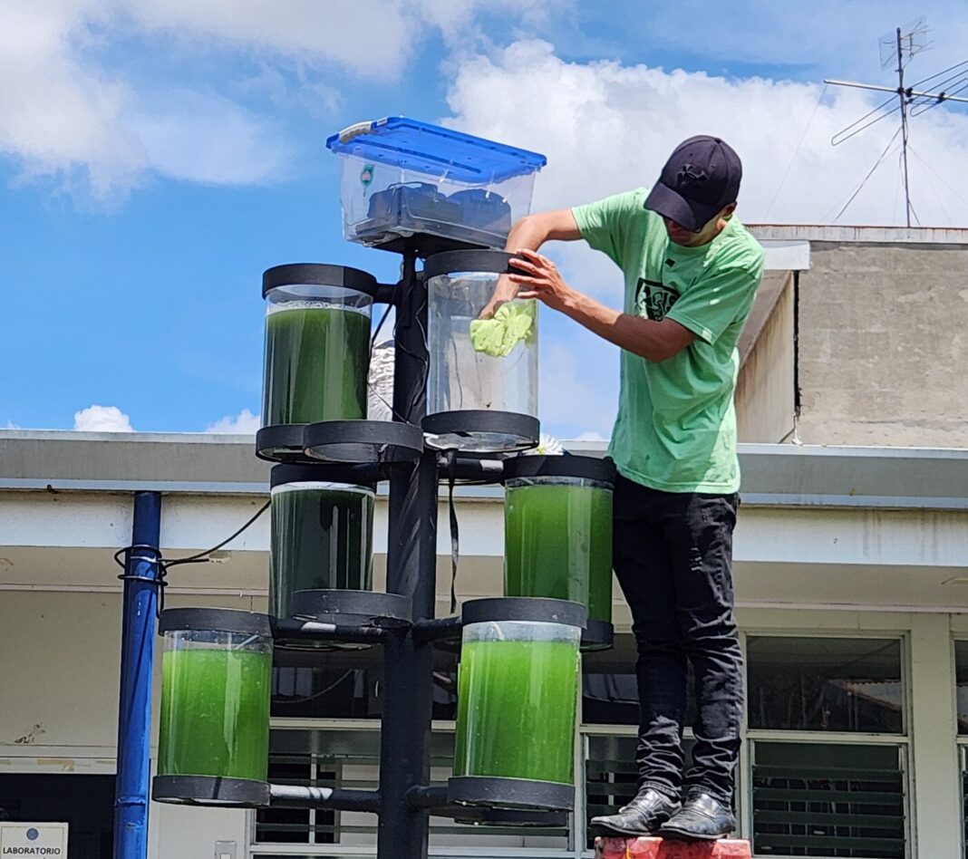 Proyecto de investigación “árboles líquidos” busca mitigar huella de carbono en Costa Rica