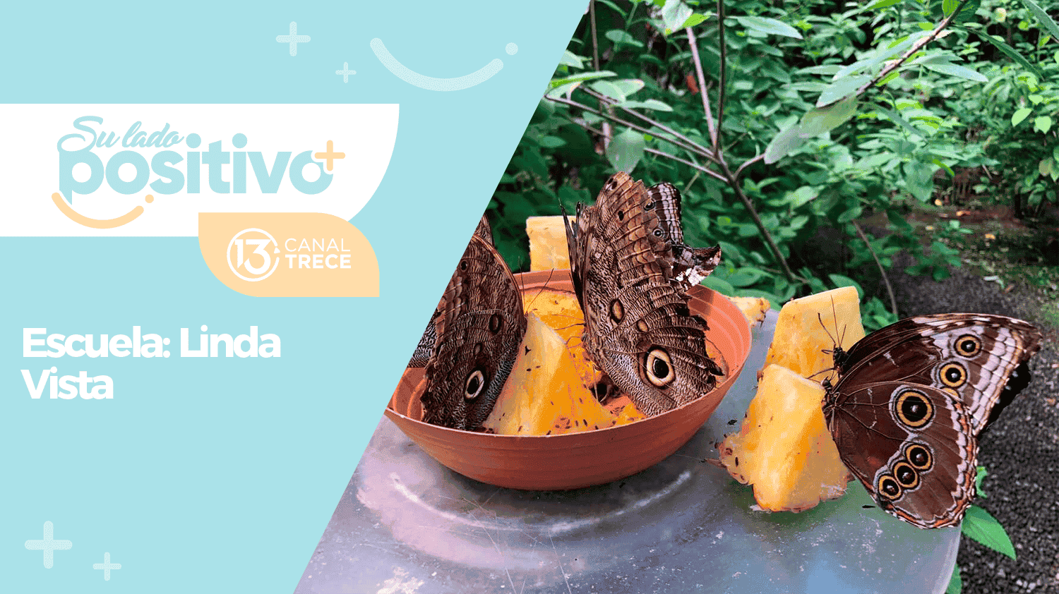 Escuela modelo: Linda Vista