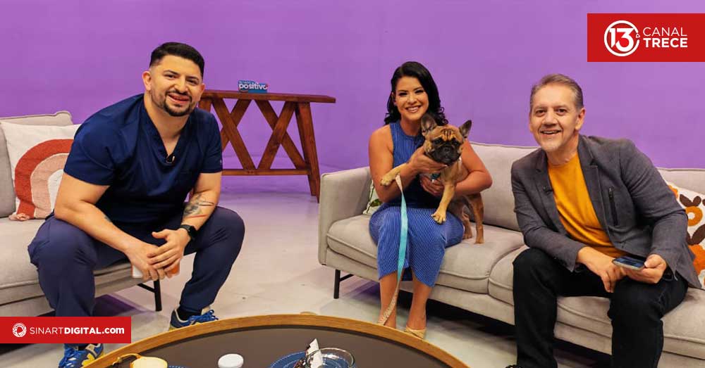 ¡Cuidado! Chocolate, uvas y cebolla pueden ser tóxicos para los perros