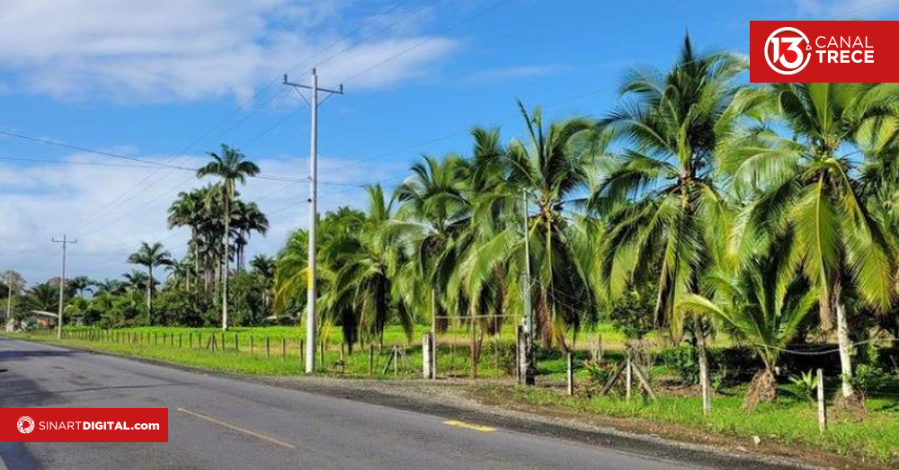 Electricidad que enciende esperanza en Limón