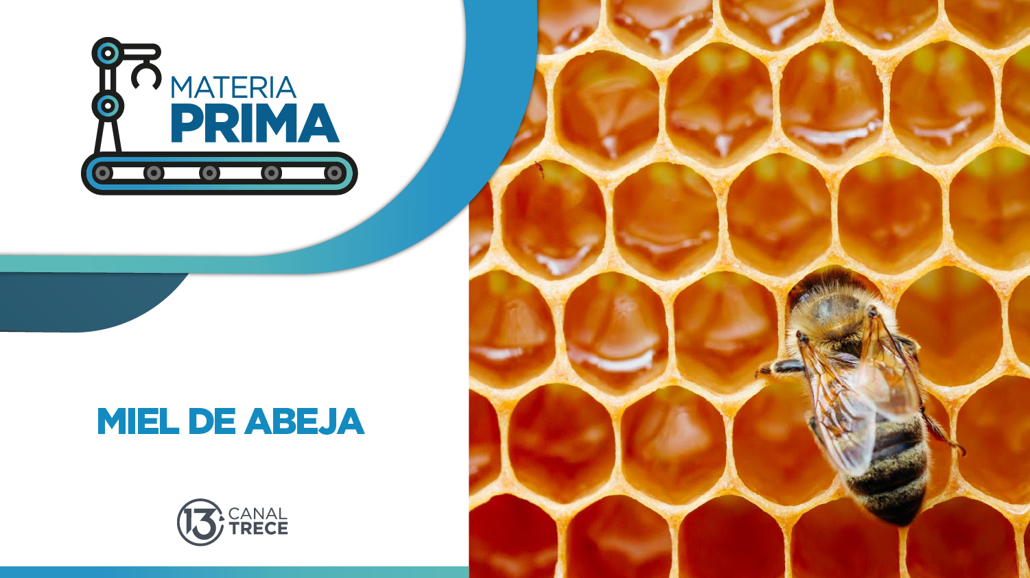 Miel de Abeja | Materia Prima | 13 febrero 2026