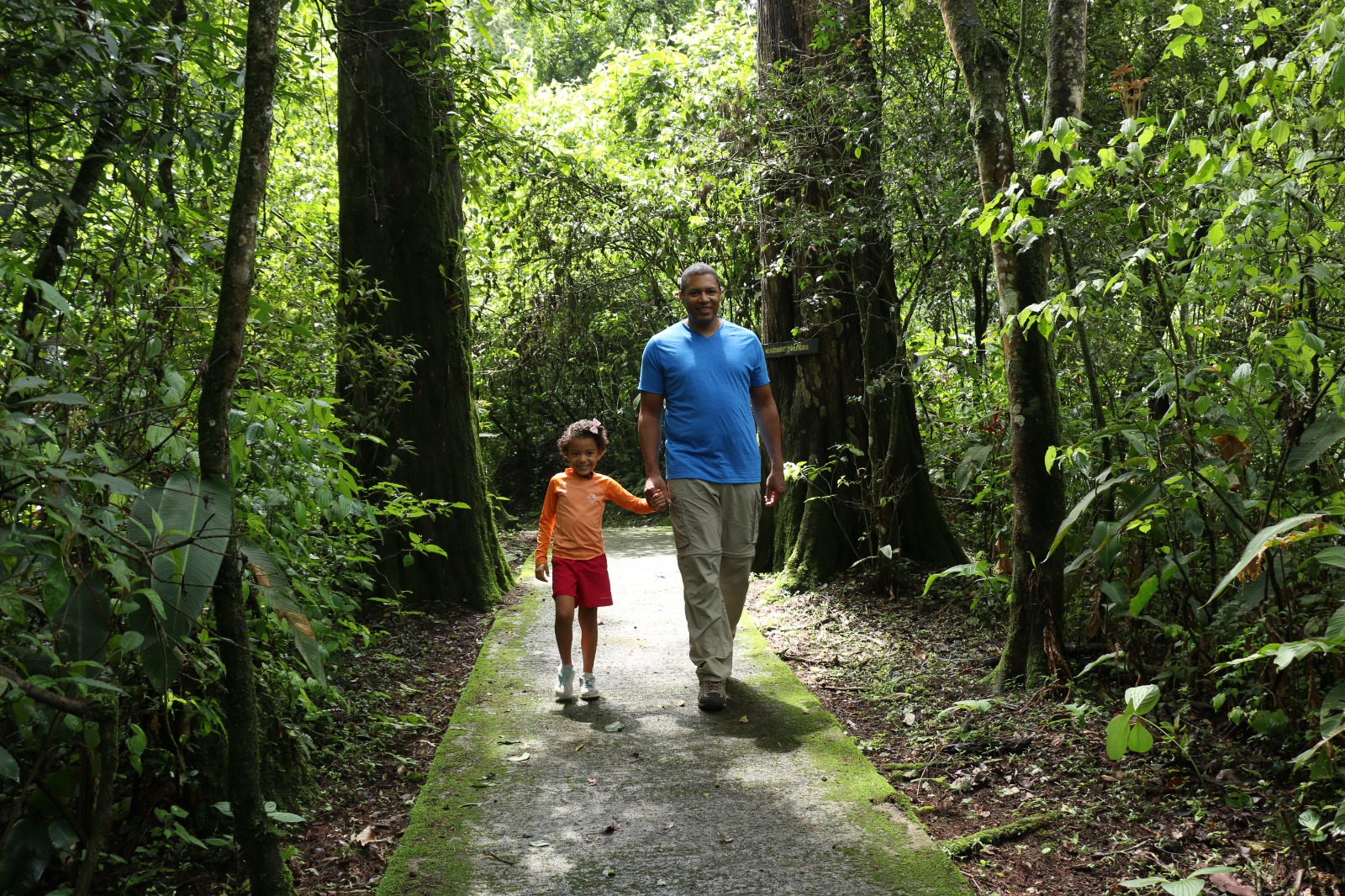 31% de niños y adolescentes entre 5 y 19 años tienen sobrepeso