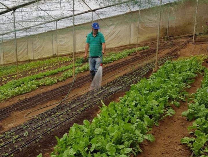 Incentivos ambientales del MAG benefician a 714 productores en todo el país