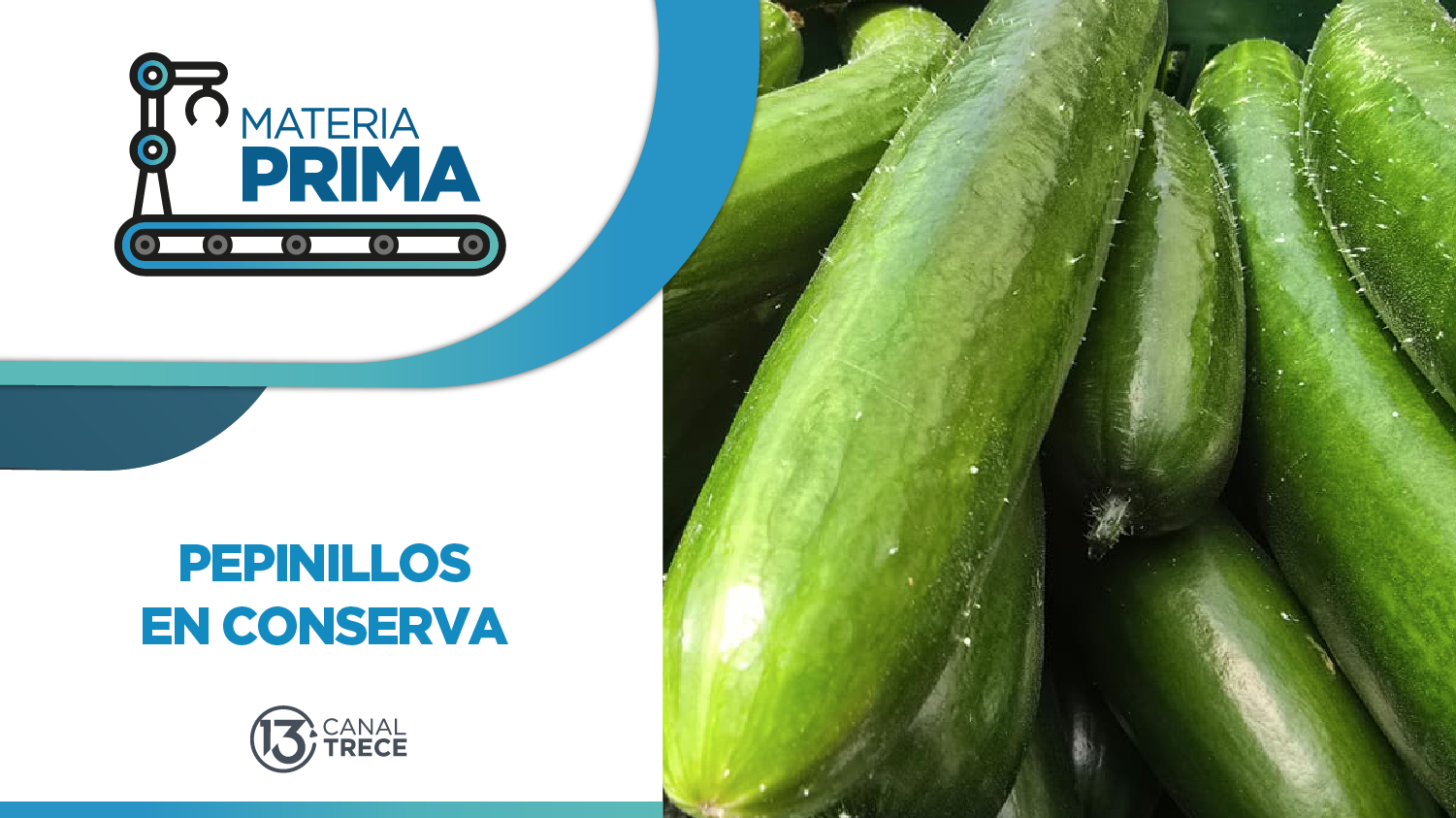 Pepinillos en conserva | Materia Prima | 15 mayo 2026