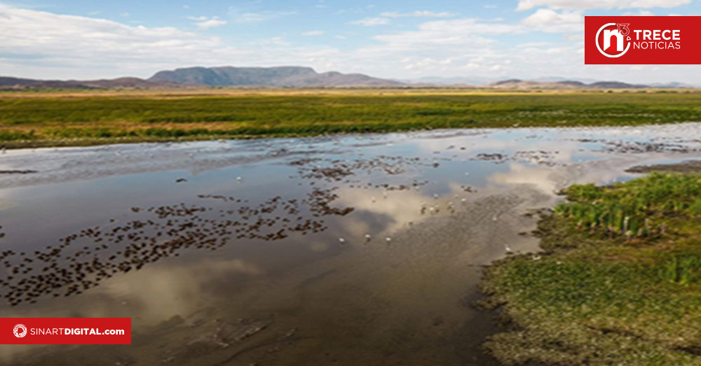 CGR advierte necesidad de mejoras en procesos forestales del SINAC