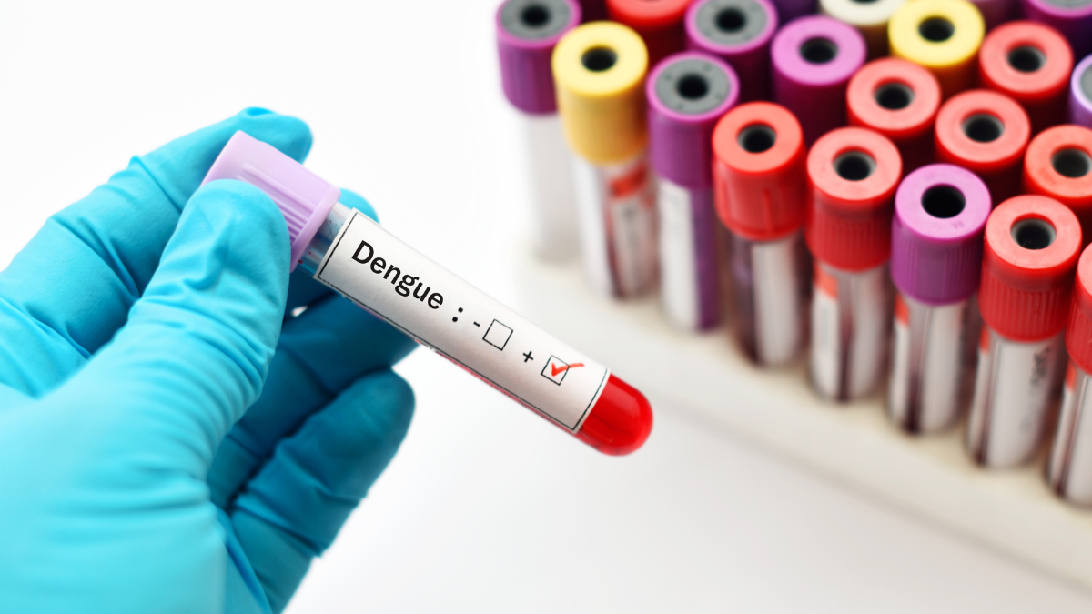 Aumento de casos de dengue: Posible menaza de colapso de hospitales en Costa Rica