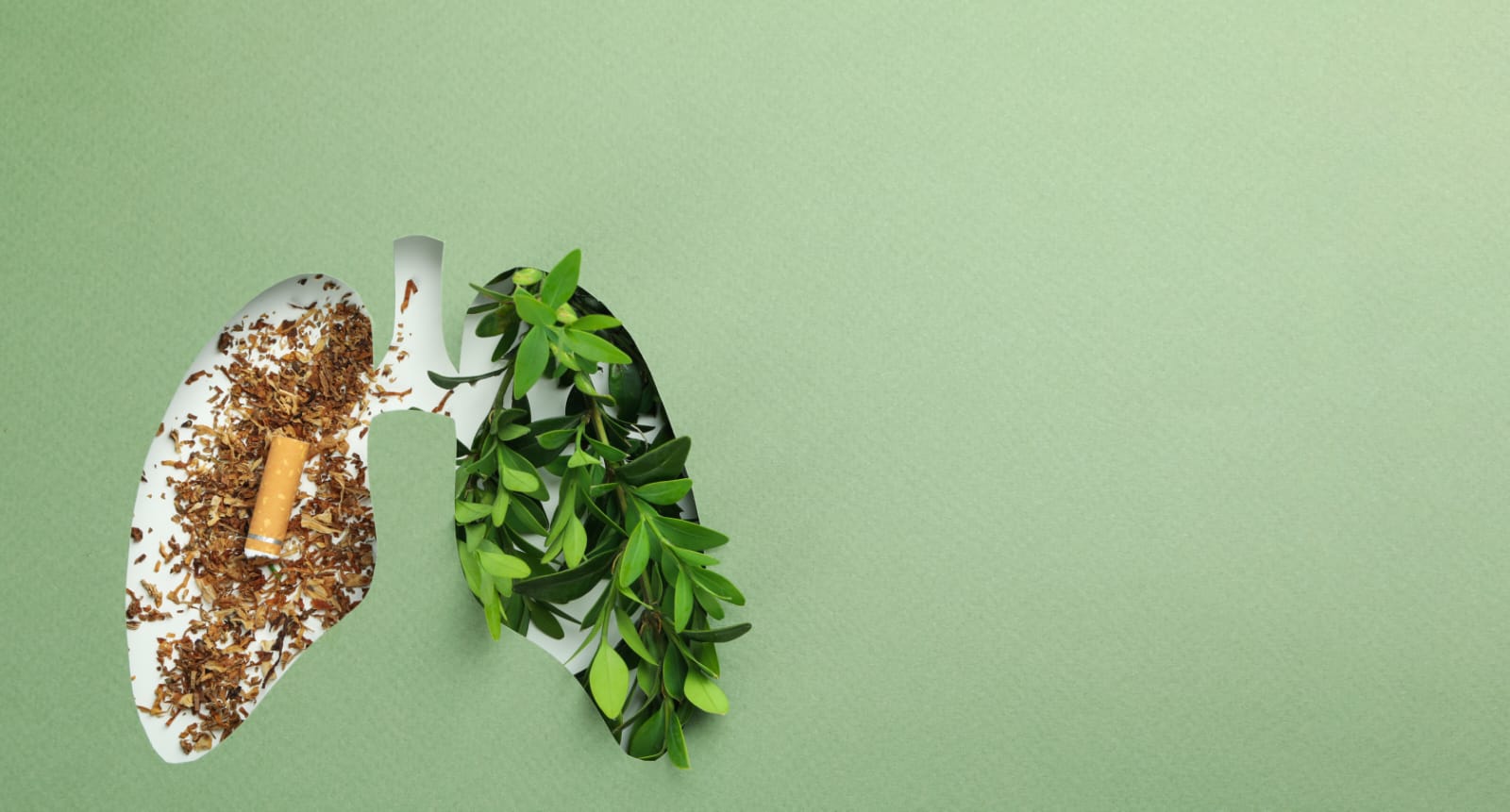 Fármaco de Pfizer contra tipo de cáncer de pulmón obtiene buenos resultados en ensayos