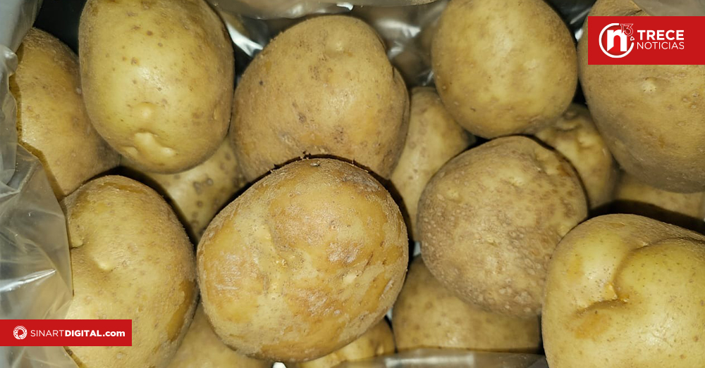 Costa Rica impide ingreso de más de 250 mil kilos de papa por incumplir normas fitosanitarias