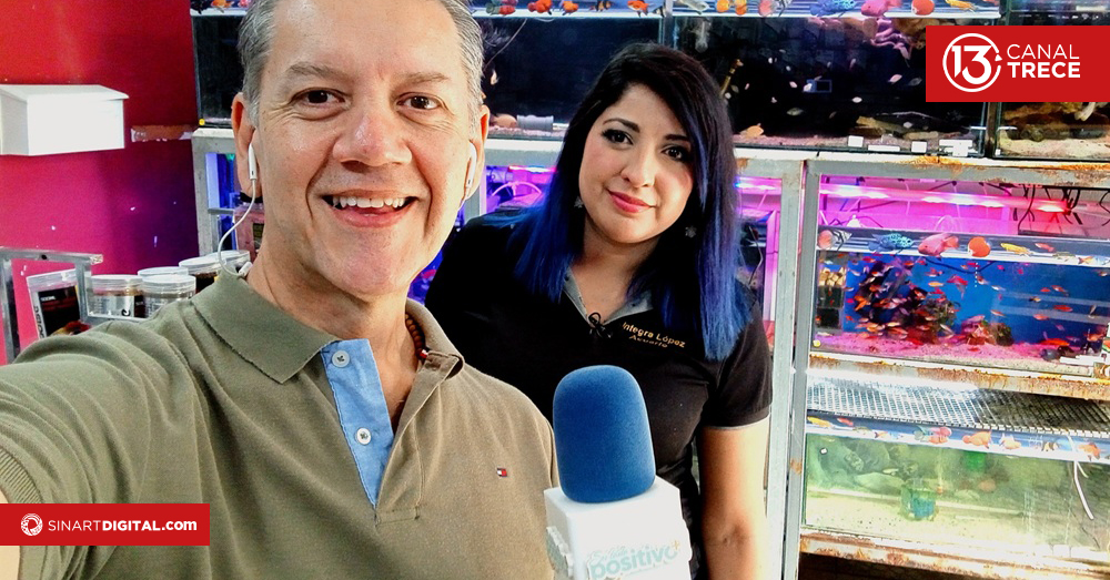 ¿Cómo tener mi primera pecera?