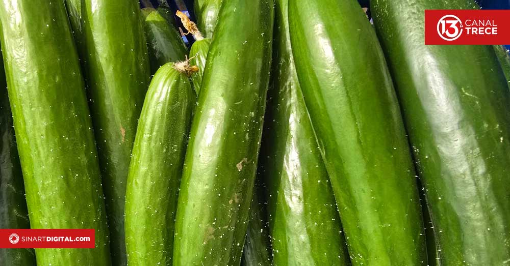 Así se elaboran los pepinillos en conserva