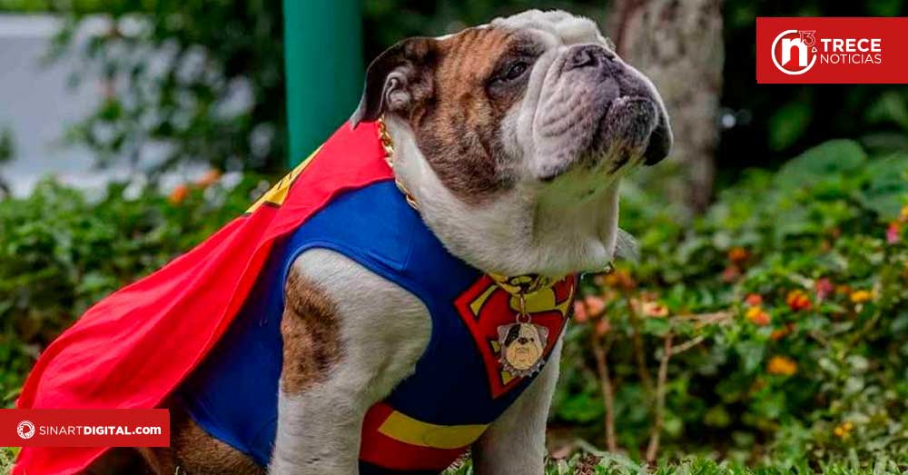 Una expo de mascotas que ofrece adopción responsable