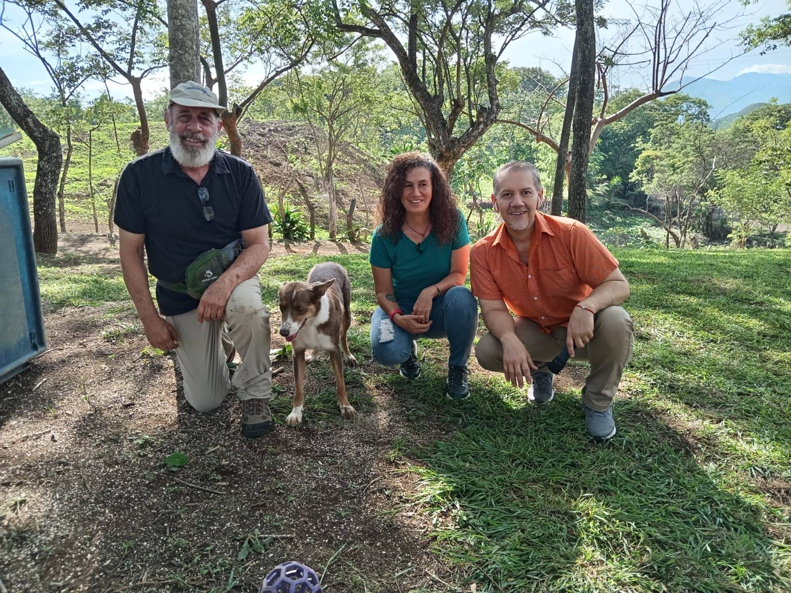 Pet paradise: hotel para perros