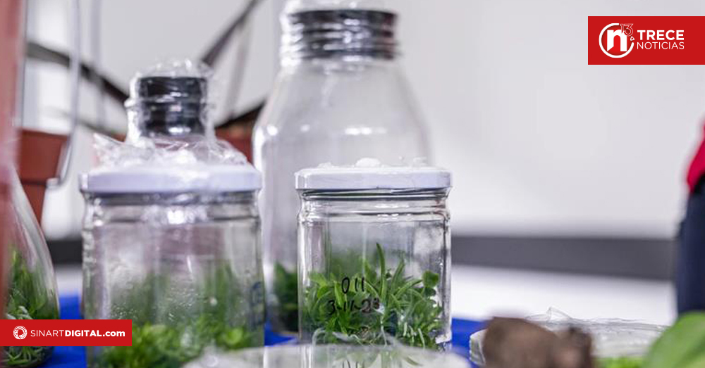 Agrotransformación 2025 reunirá a actores clave para impulsar un agro más innovador