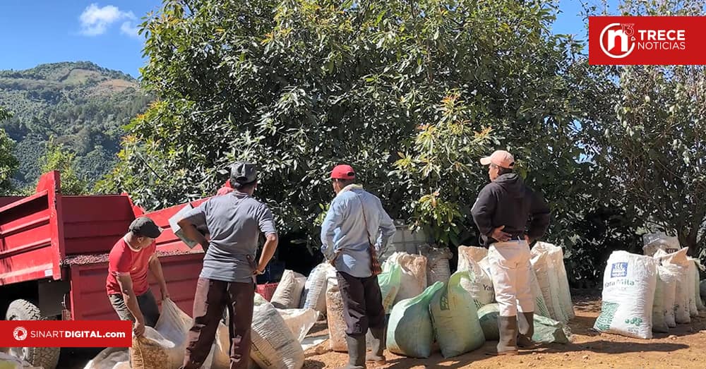 Familia de Dota realiza la primera subasta privada de finca cafetalera en Costa Rica