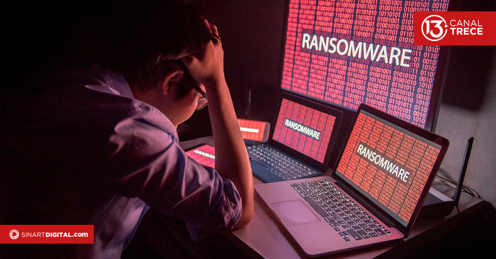 ¿Por qué las copias de seguridad son vitales para proteger la información?