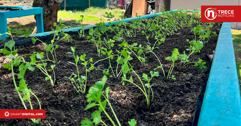 Hogar Siembra: Un refugio que cambia vidas