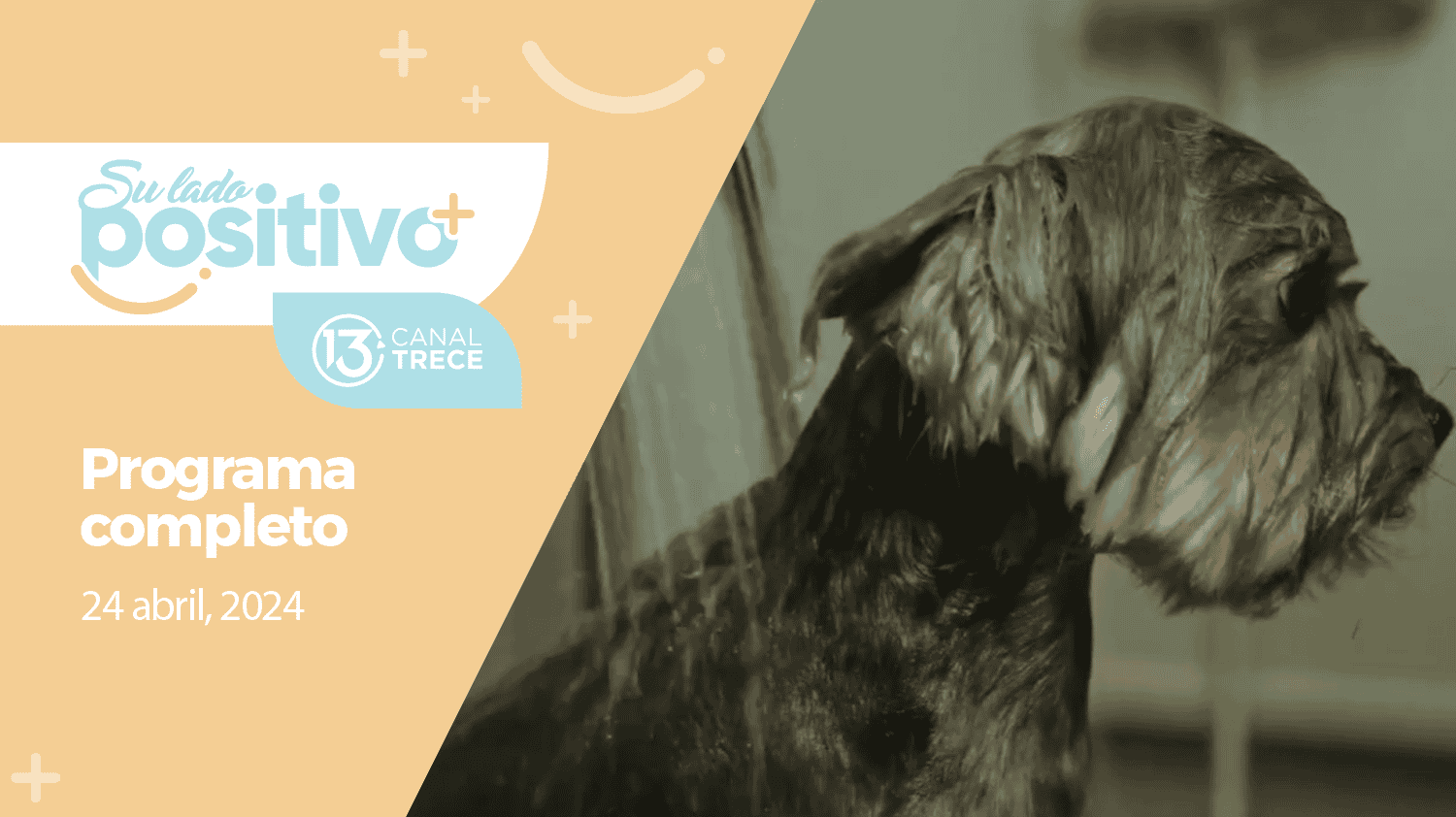 Su Lado Positivo - Programa Completo | 24 abril 2024.