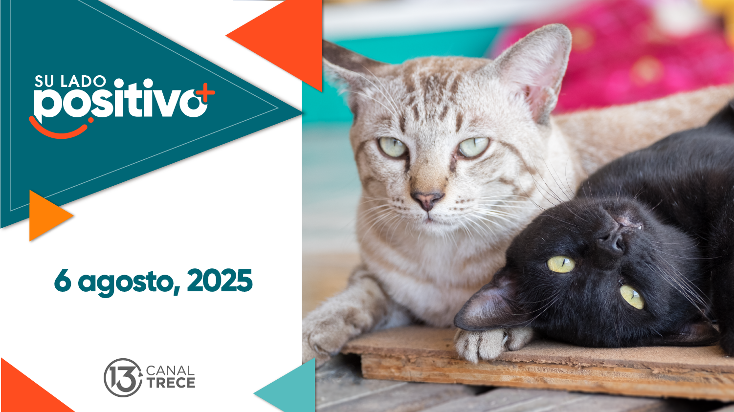 Su Lado Positivo | 6 Agosto 2025