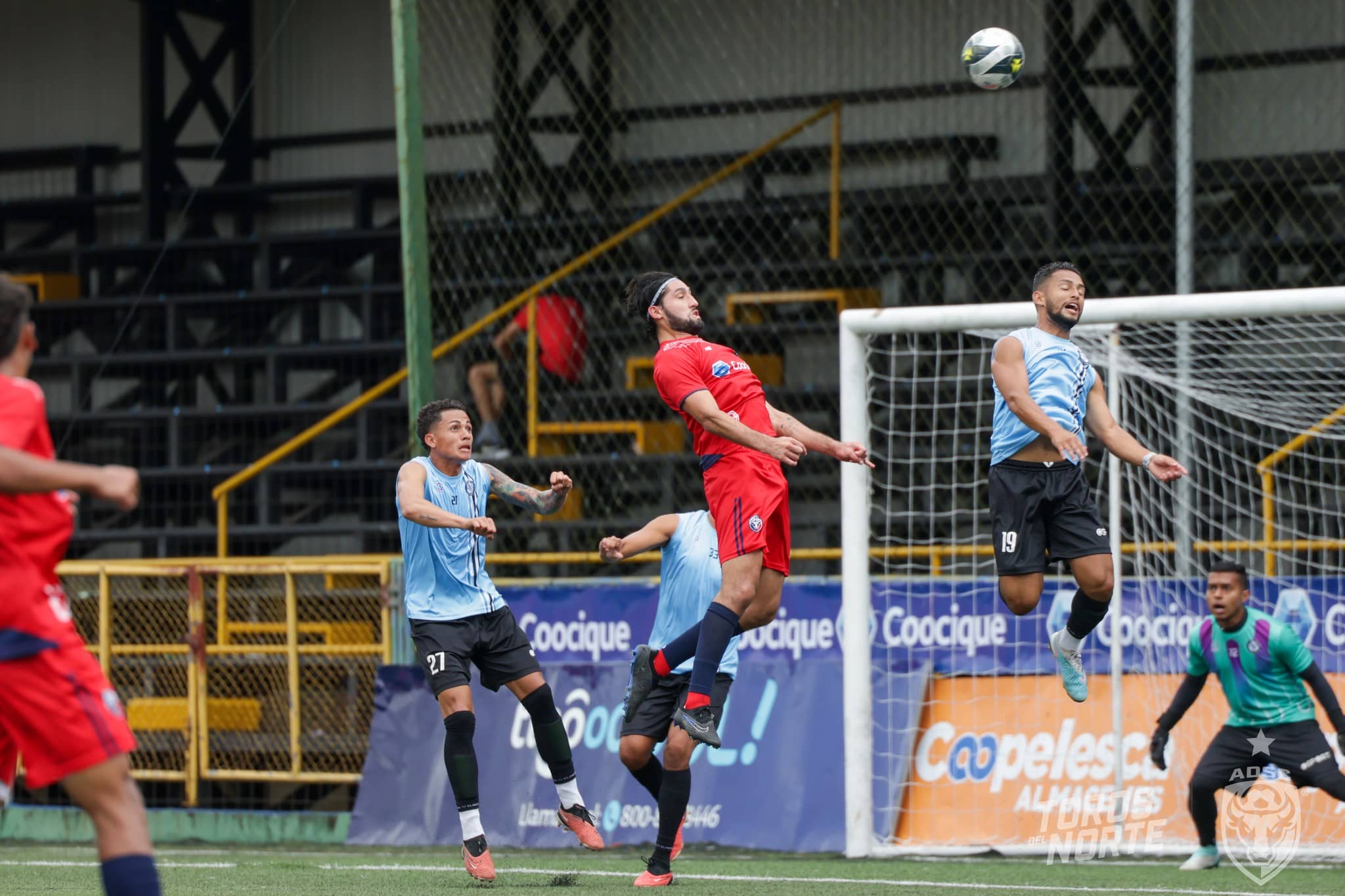 Toros del Norte sueñan con mejorar actuación del torneo anterior