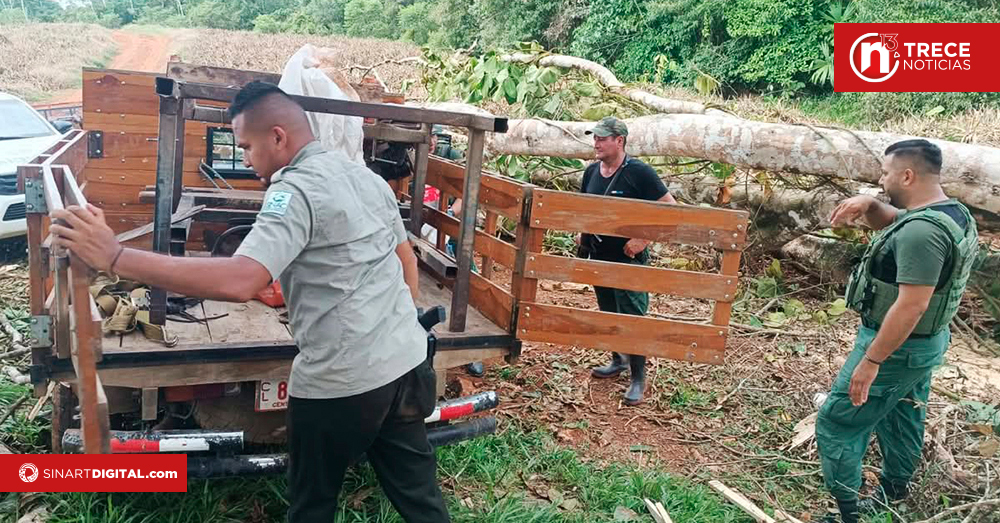 Denuncia anónima impide tala ilegal en Upala 