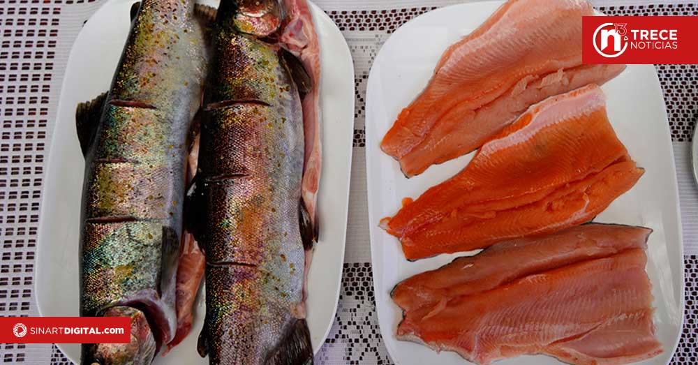 IV Feria Nacional de la Trucha regresa el fin de semana