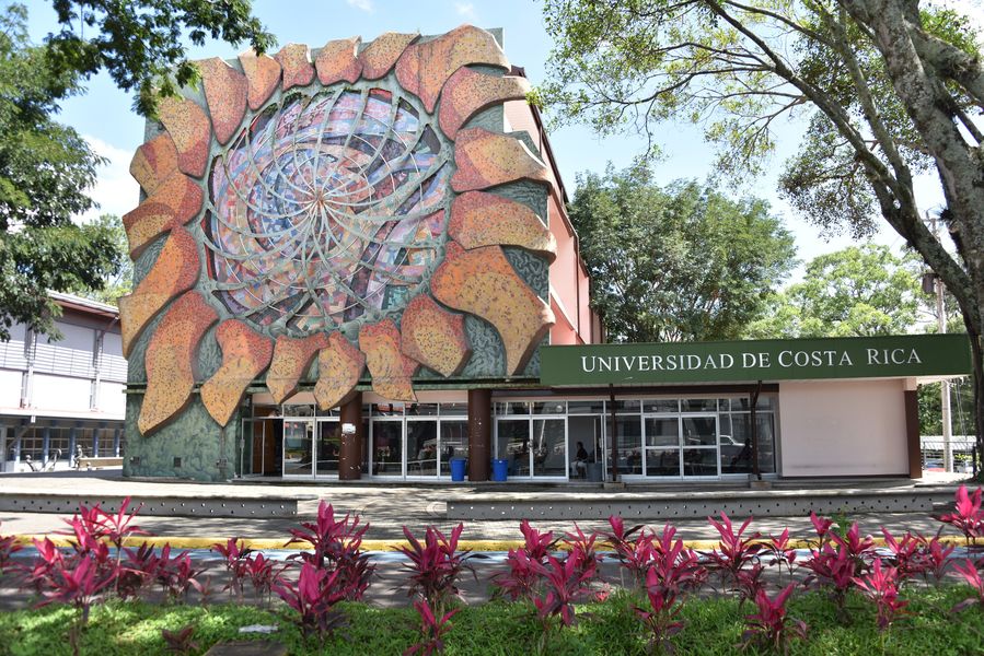 40% de estudiantes buscaron carreras STEM del 2018 al 2023: Conare