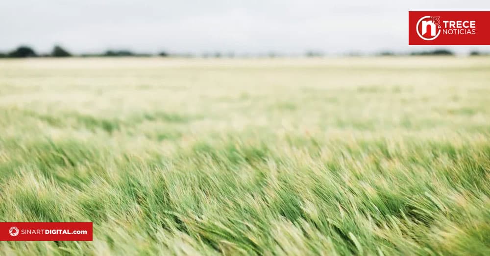 ¿Cómo estará el tiempo este fin de semana?