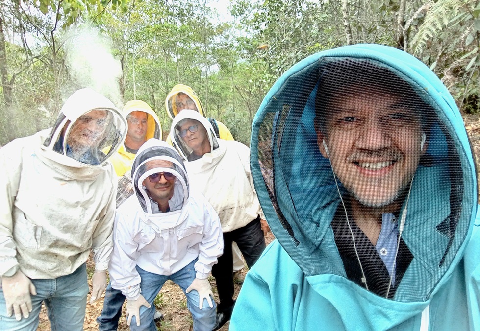 Las mejores trabajadoras: las abejas