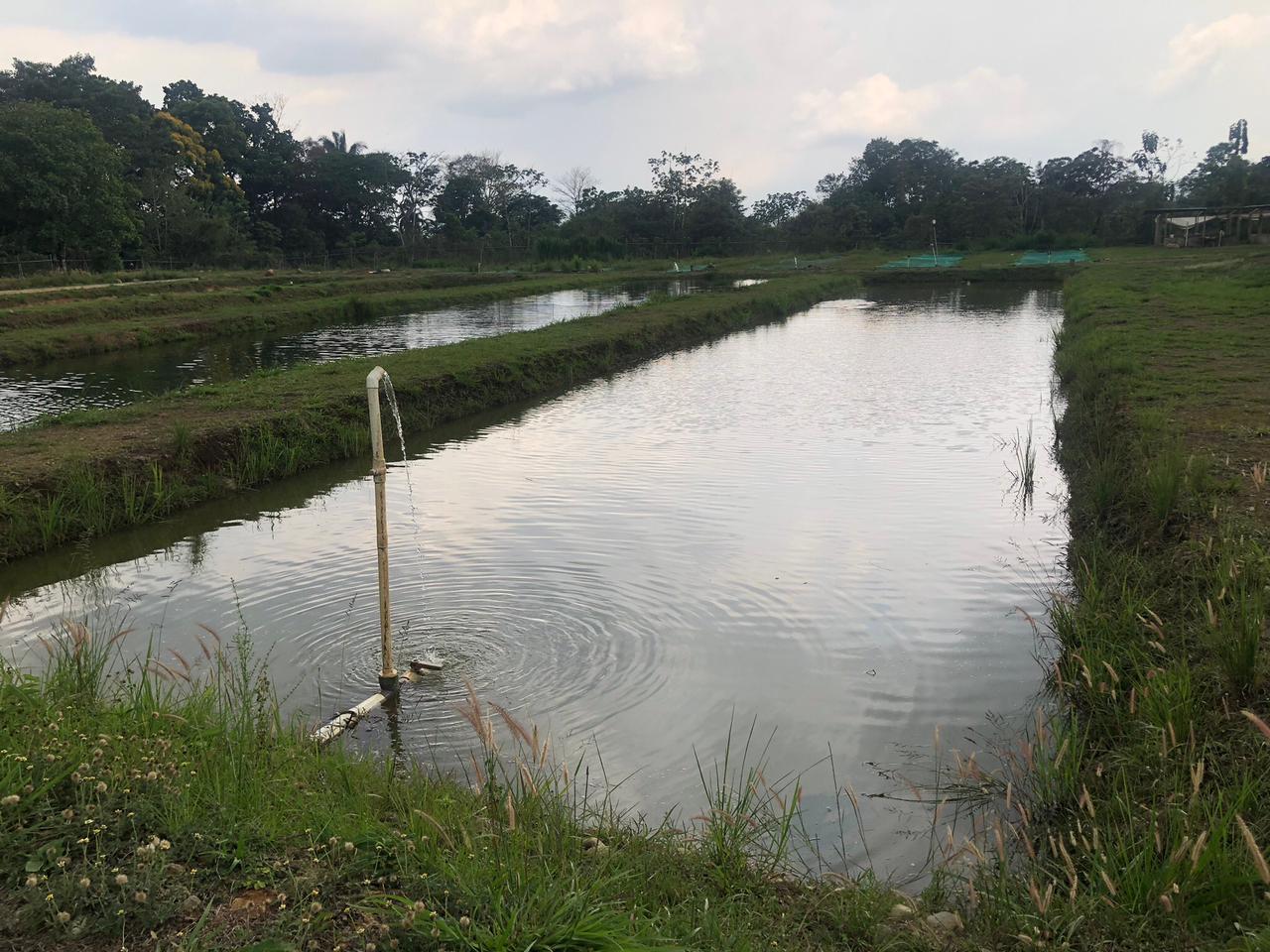 INCOPESCA prepara Expo Acuicultura en Ciudad Quesada