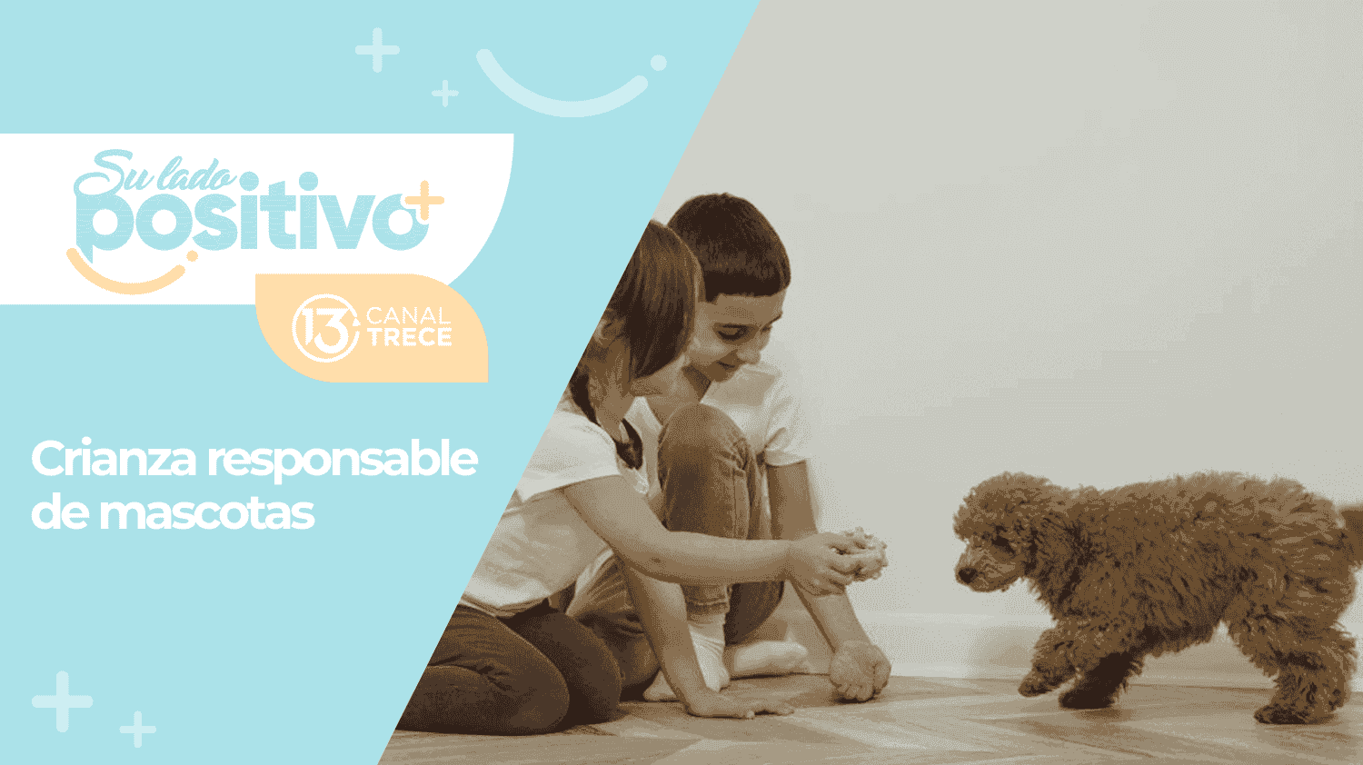 Entrevista de fondo | Crianza responsable de mascotas