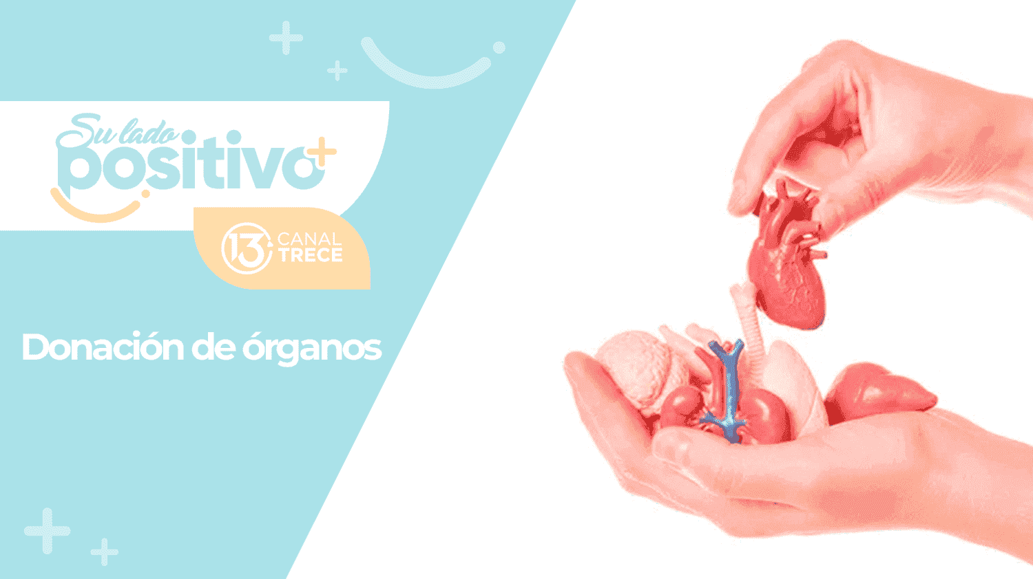 Importancia de la donación de órganos