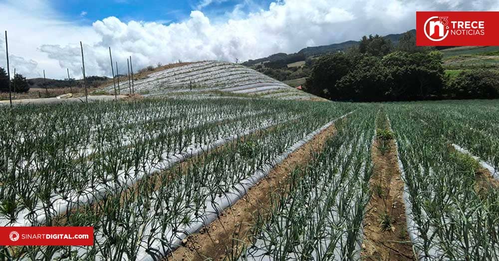 Agricultores de Cartago se fortalecen con agricultura de precisión