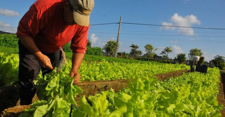 Proyecto busca crear sello para destacar productos nacionales