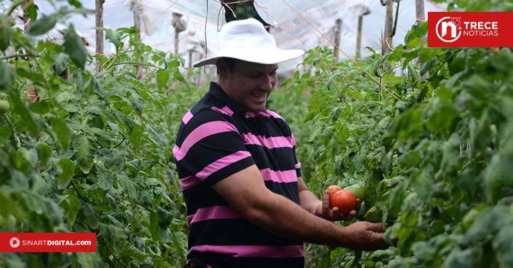 MAG analiza datos y proyecciones de su sector hasta el 2050 
