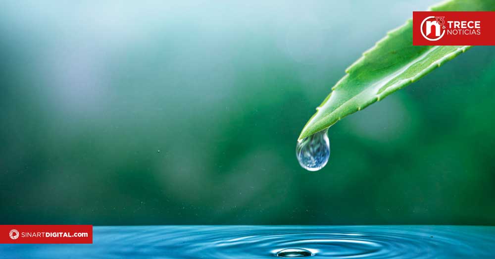 Belén protege 13 nacientes para resguardar abastecimiento de agua