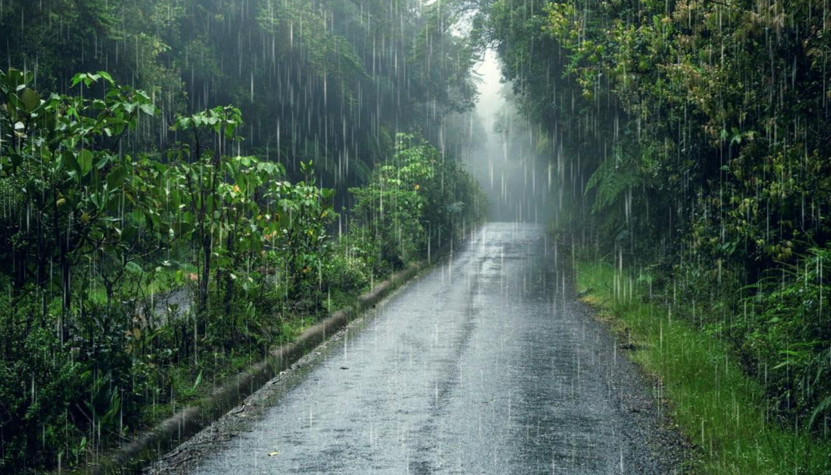 No guarde la sombrilla, se espera un martes muy lluvioso