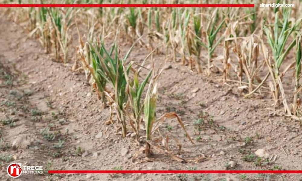 CNE declara alerta verde preventiva por Fenómeno del Niño