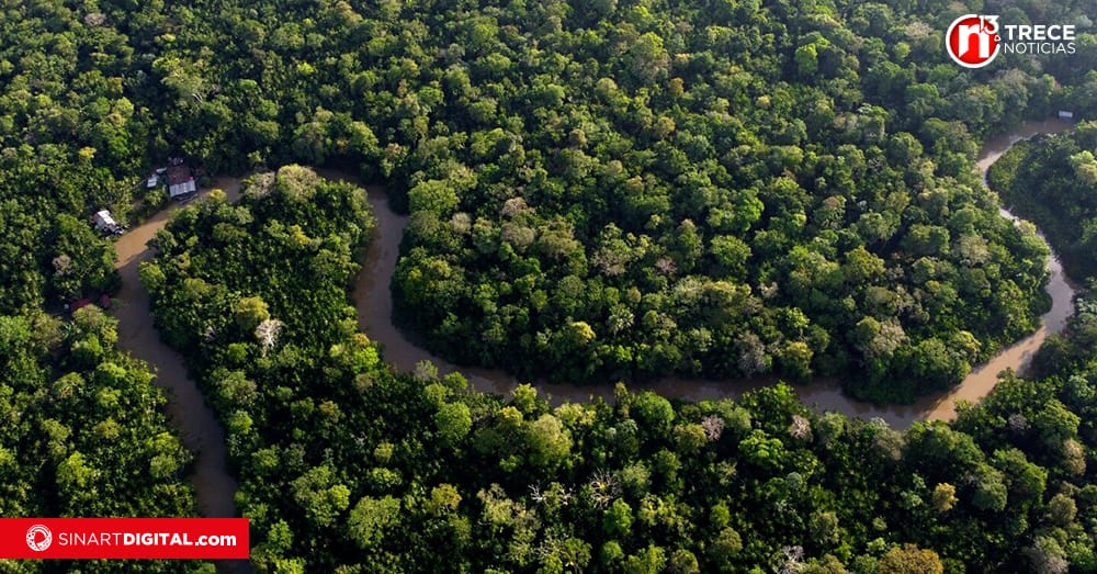 Presidente brasileño espera que Cumbre Amazónica restaure protecciones