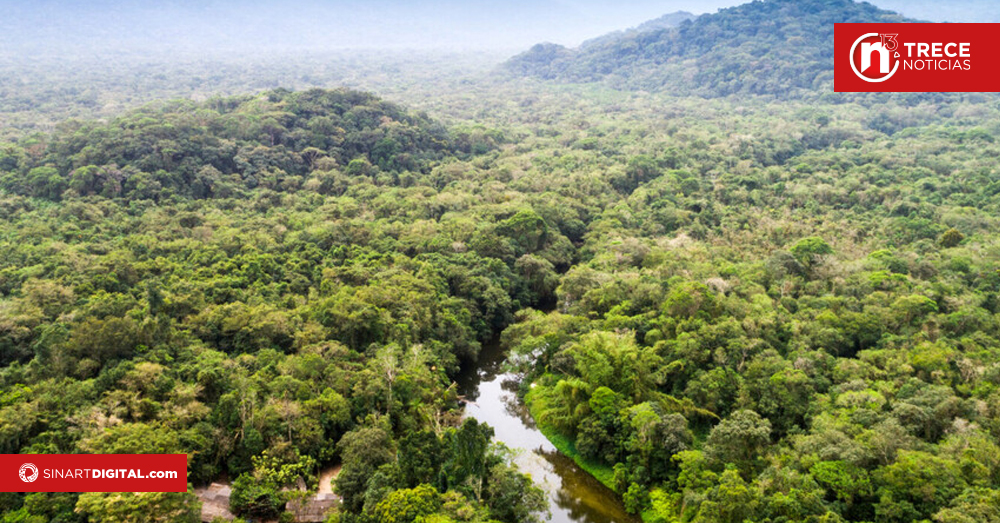 La deforestación en la Amazonía brasileña creció 4% en el último año